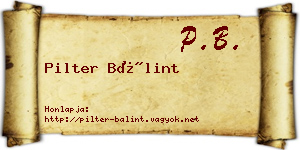 Pilter Bálint névjegykártya